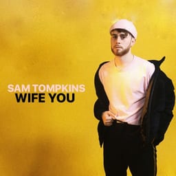 Wife You album cover
