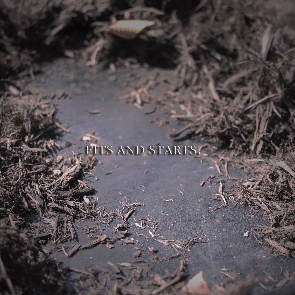 Fits and Starts cover
