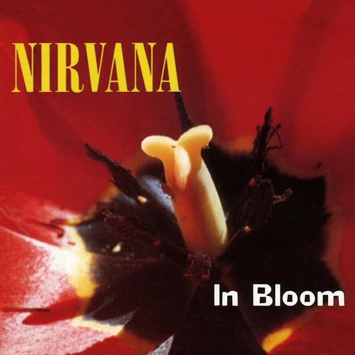 In Bloom cover