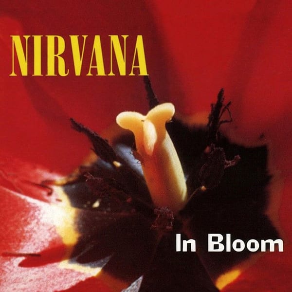 In Bloom cover