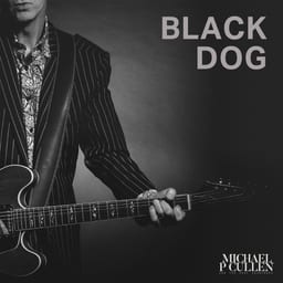 Black Dog (Live) album cover