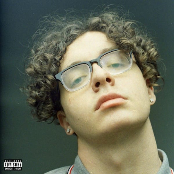 Loose cover