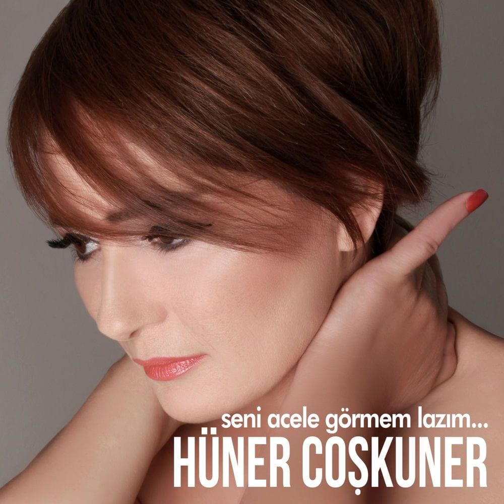 Seni Acele Görmem Lazım cover