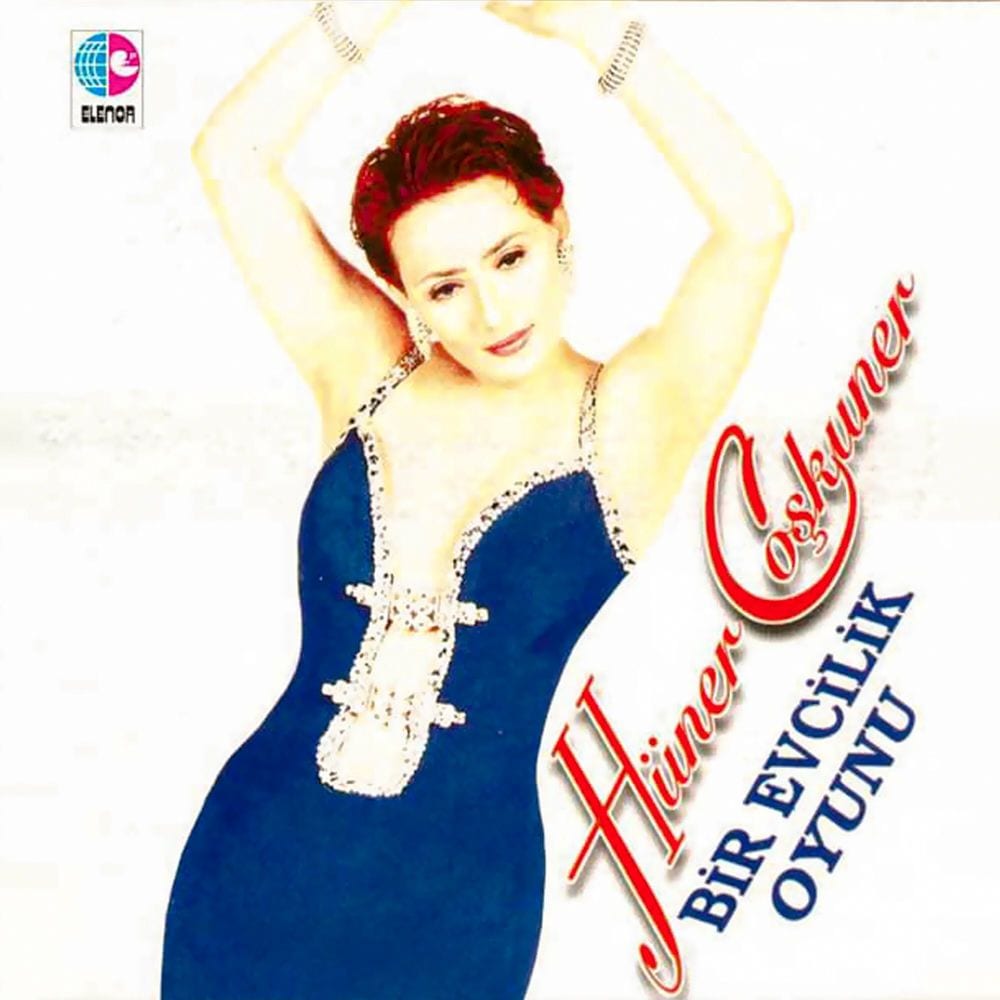 Bir Evcilik Oyunu cover