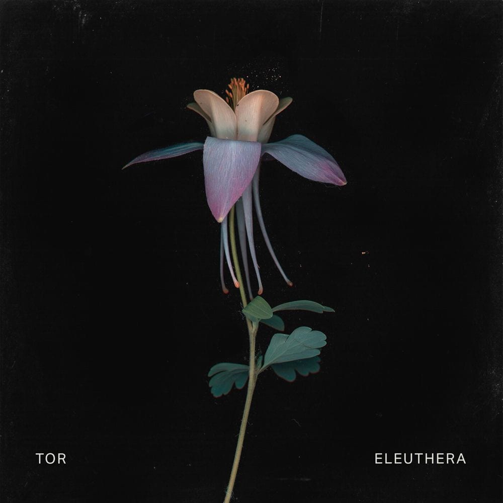 Eleuthera cover