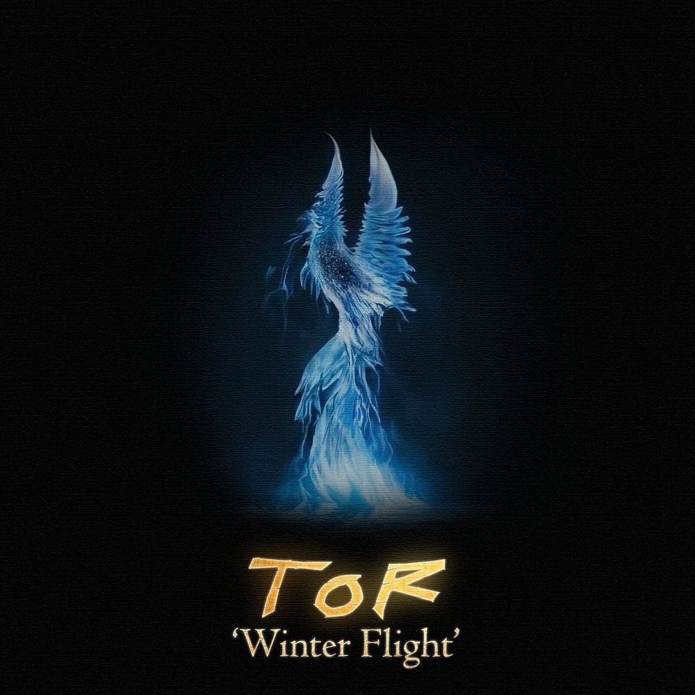 Winter Flight cover