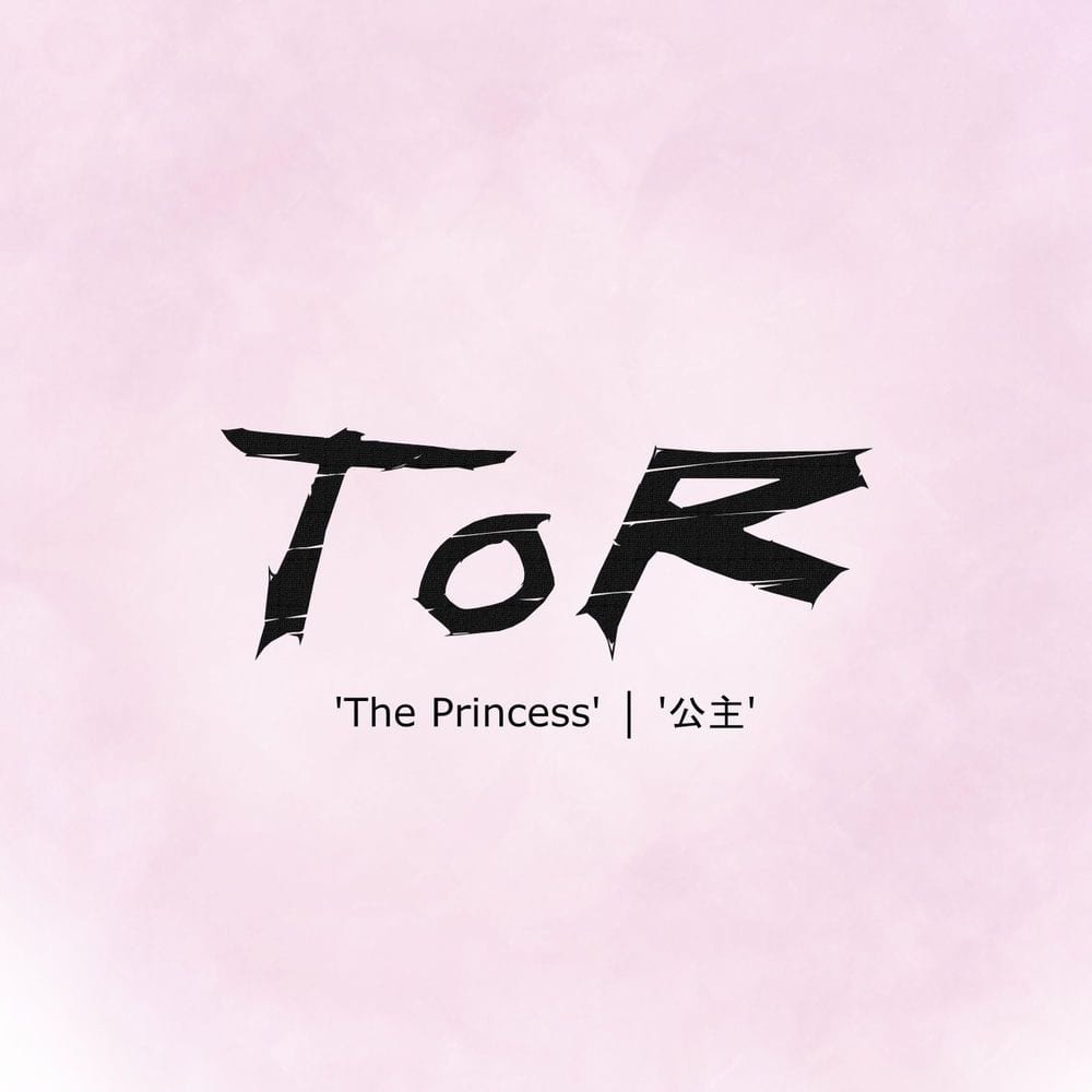 The Princess cover