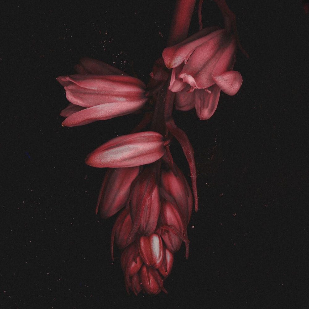 Lens (O'Flynn Remix) cover