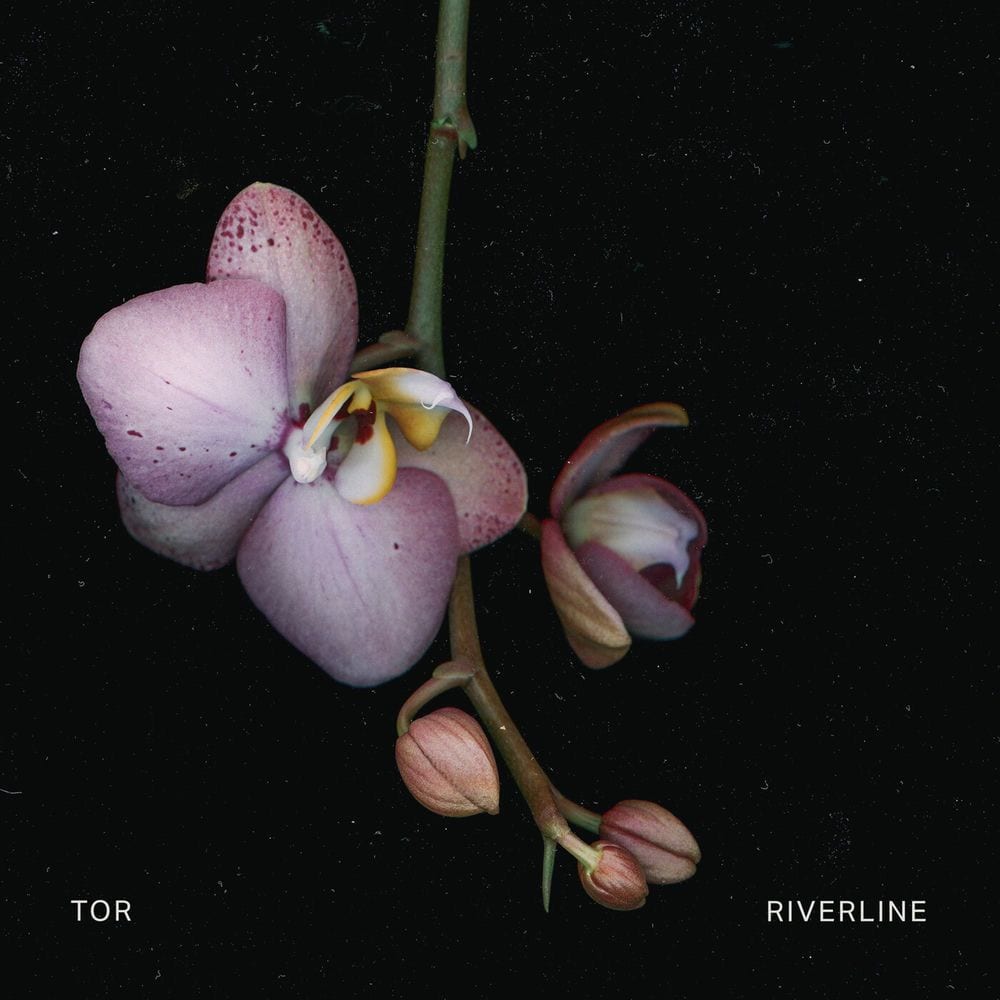 Riverline cover