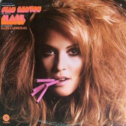 Hair cover
