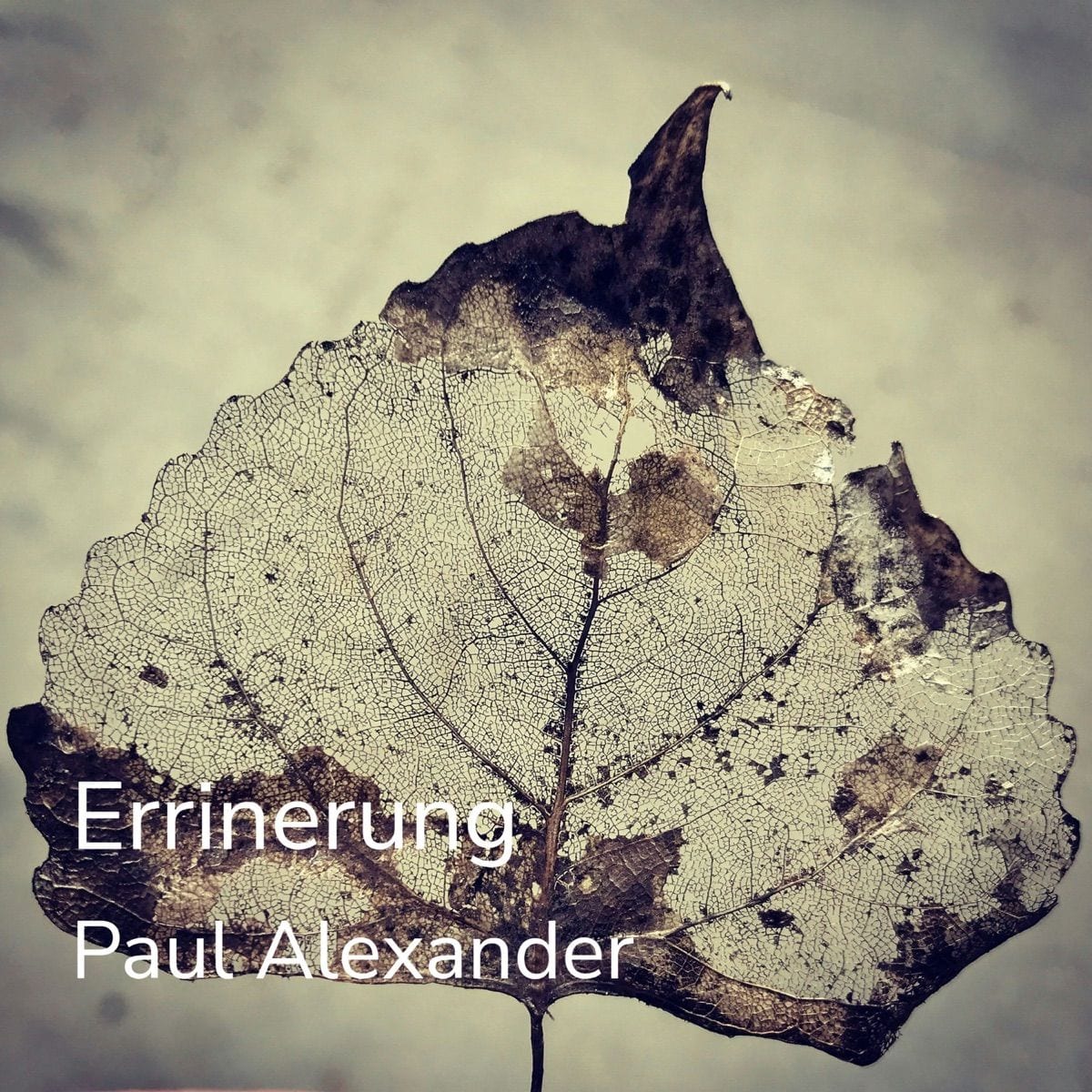 Errinerung cover