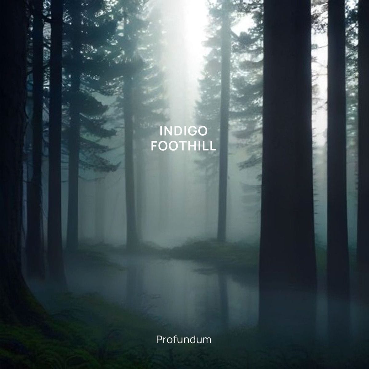 Indigo Foothill cover