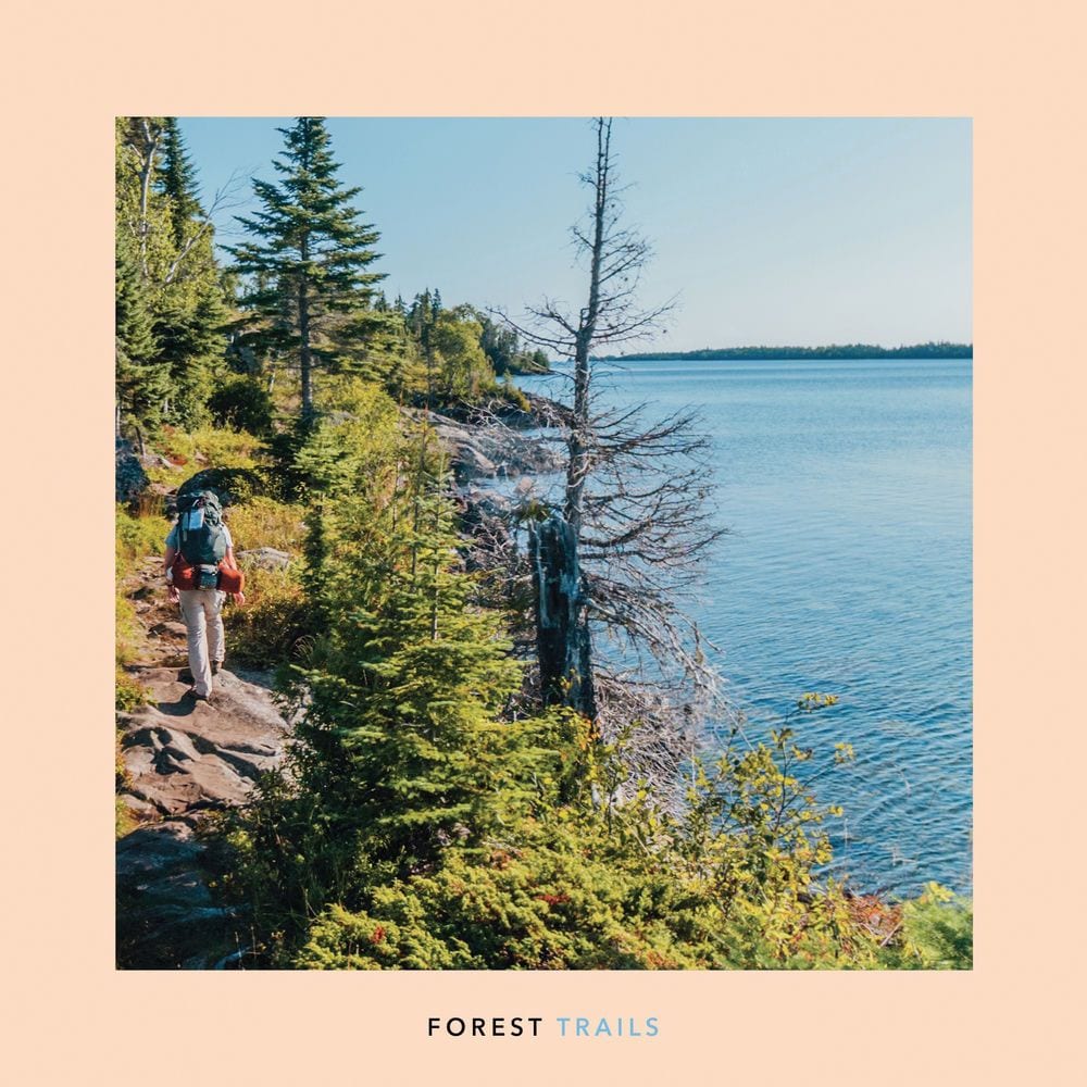 Forest Trails cover