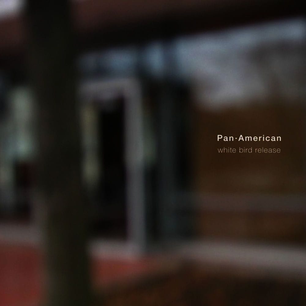 White Bird Release cover
