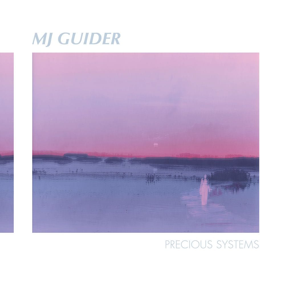 Precious Systems cover