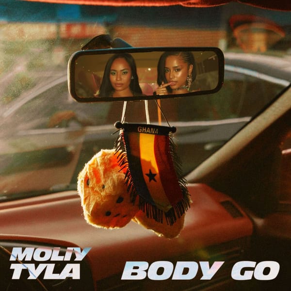 Body Go (with Tyla) cover