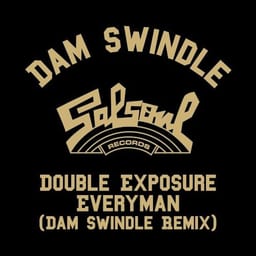 Everyman (Dam Swindle remix) album cover