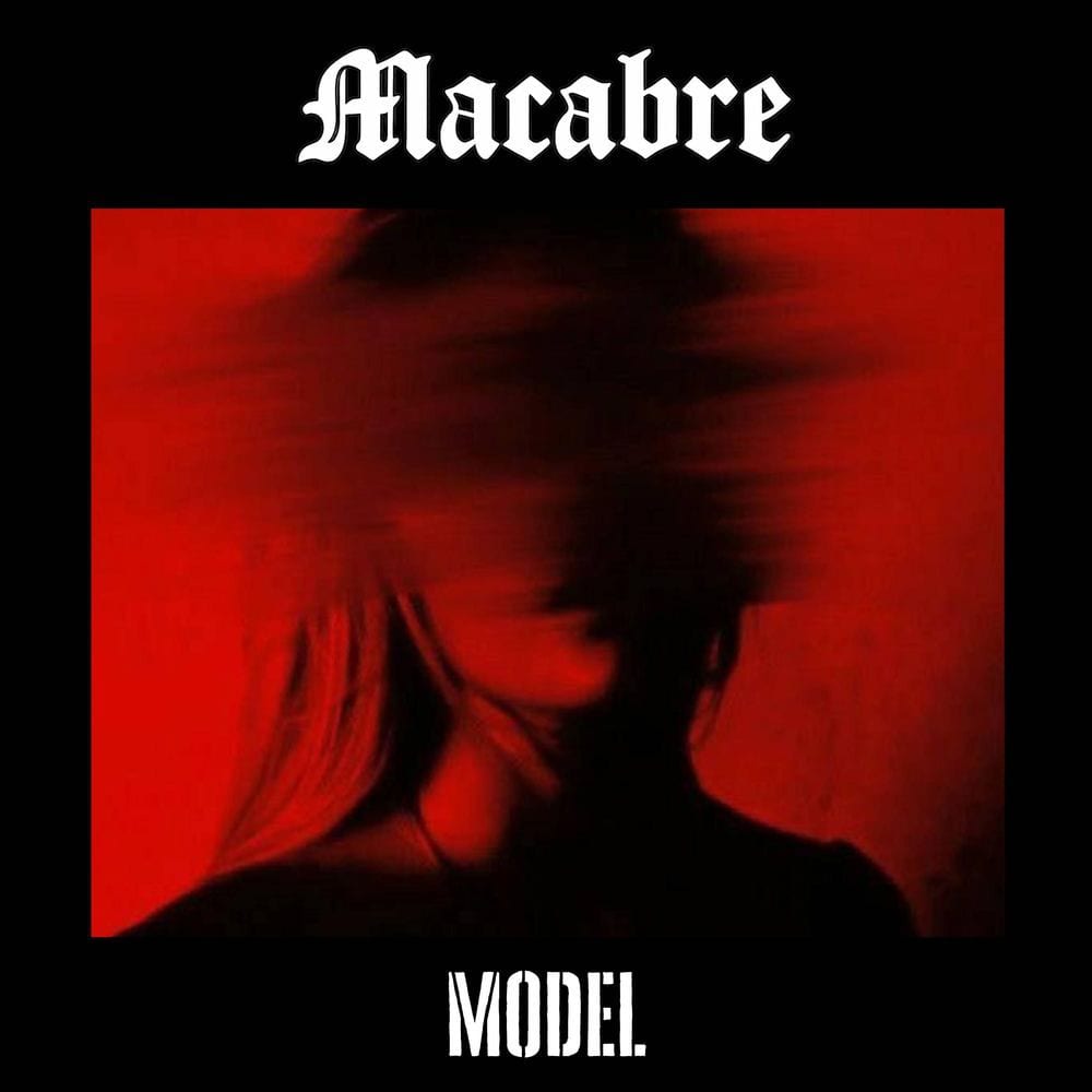 Model cover