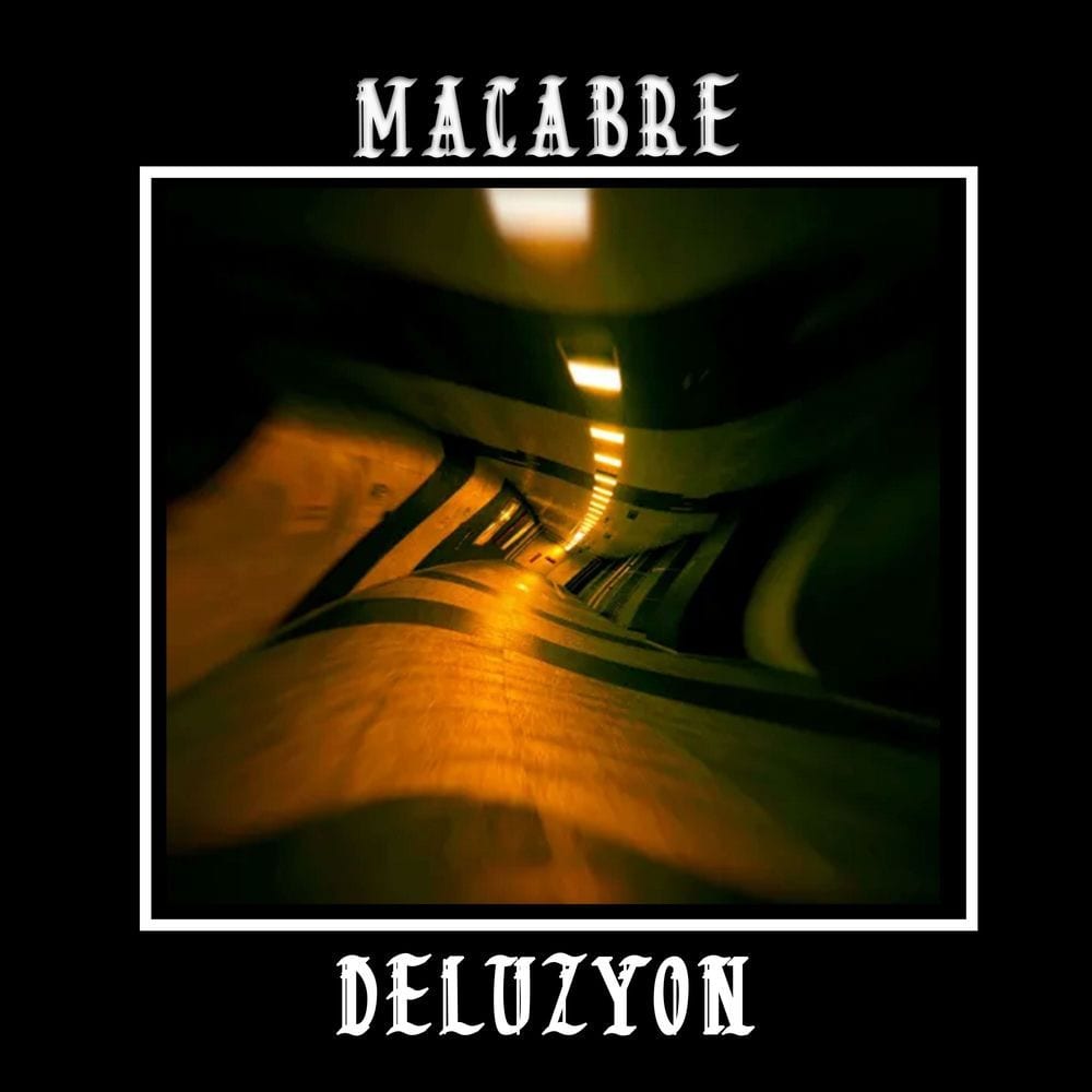 Delüzyon cover