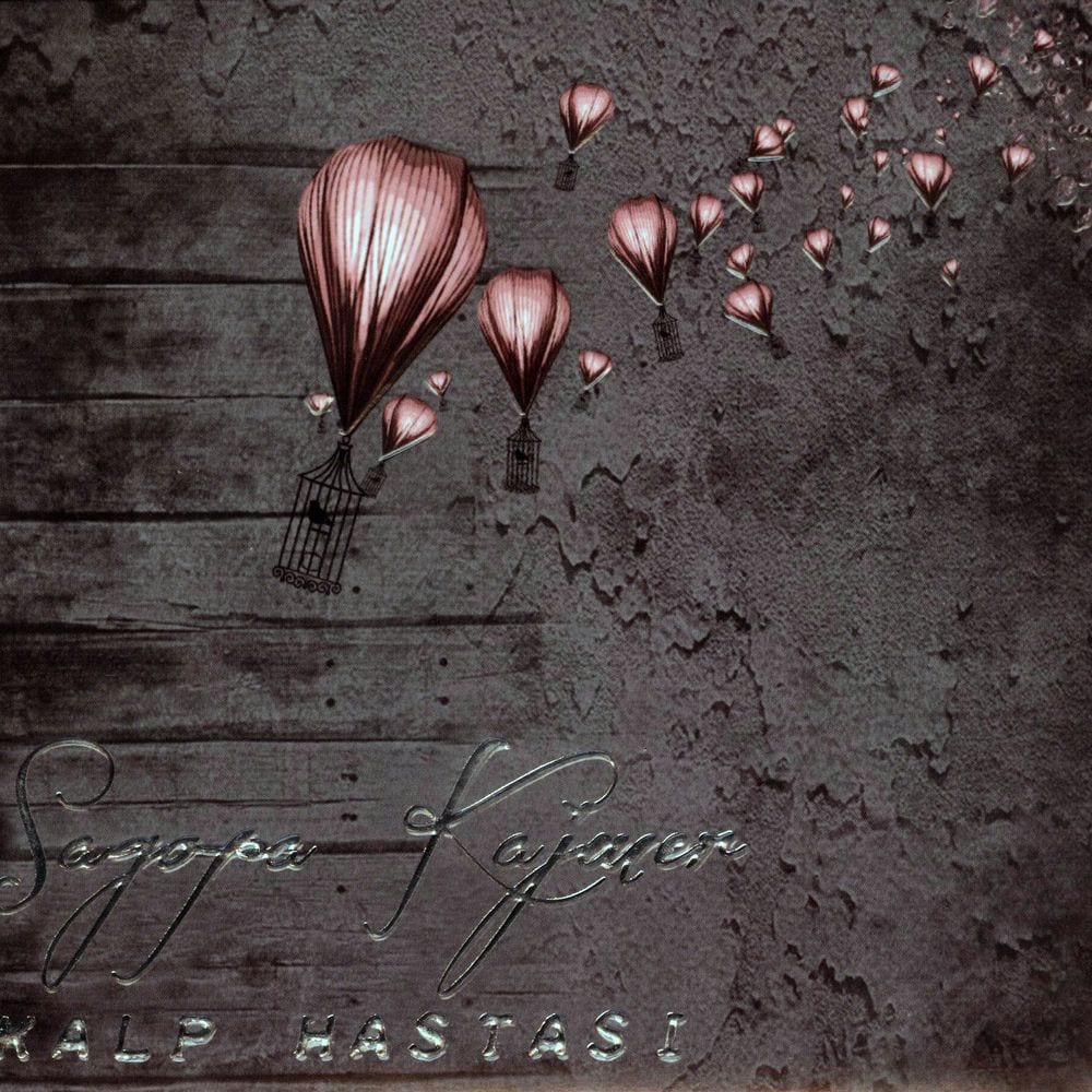 Kalp Hastası cover