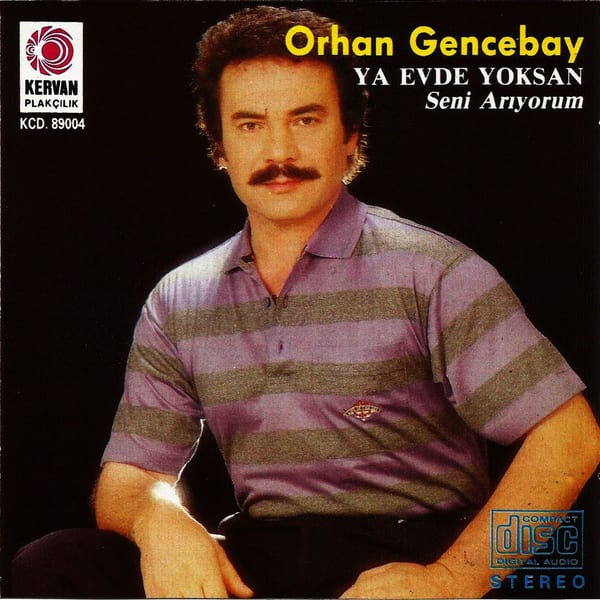 Ya Evde Yoksan / Seni Arıyorum cover