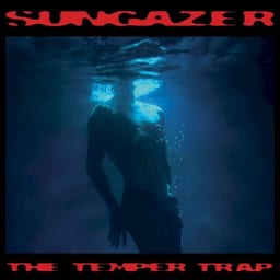 Sungazer album cover