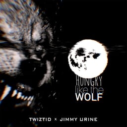 Hungry like the Wolf album cover