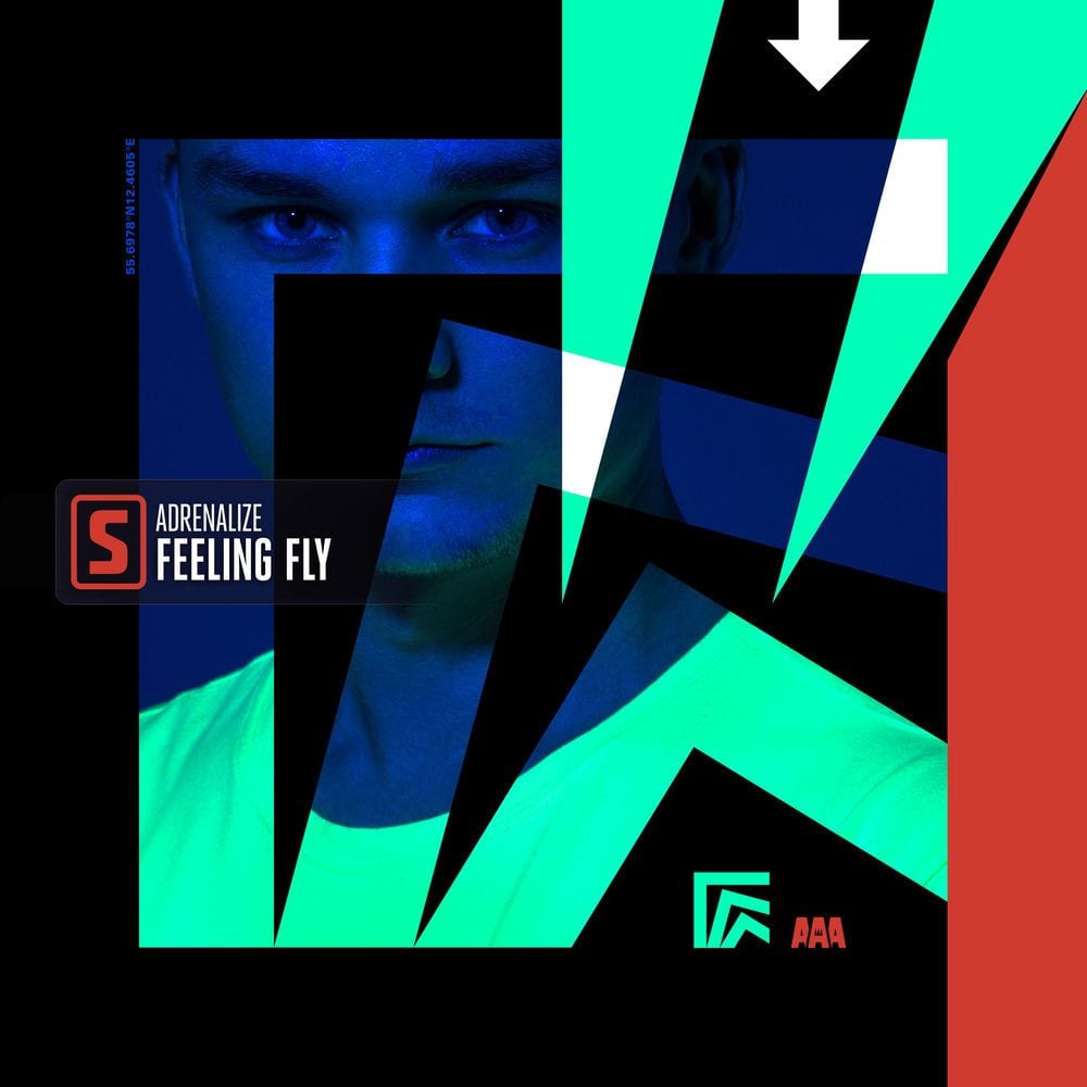 Feeling Fly cover