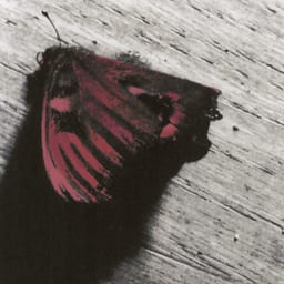 Footnotes On The Map album cover