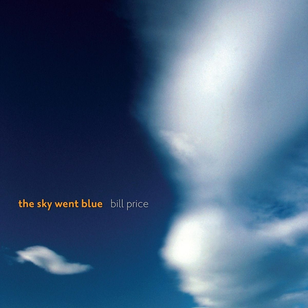 The Sky Went Blue cover