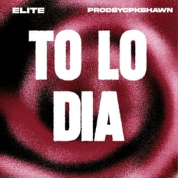 TO LO DIA album cover