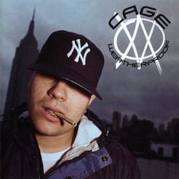 Weatherproof album cover