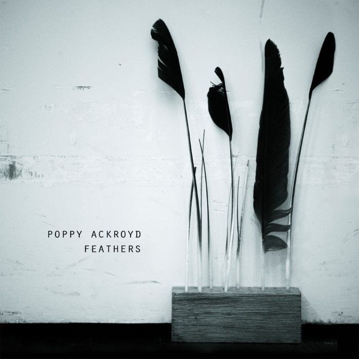 Feathers cover