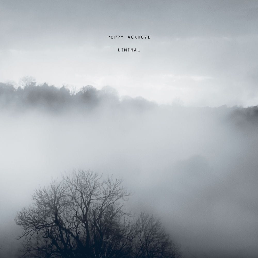 Shimmer cover