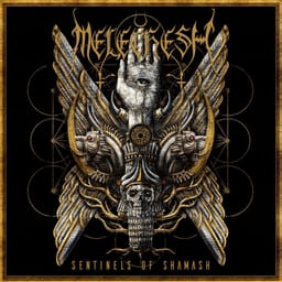 In Shadows, In Light album cover