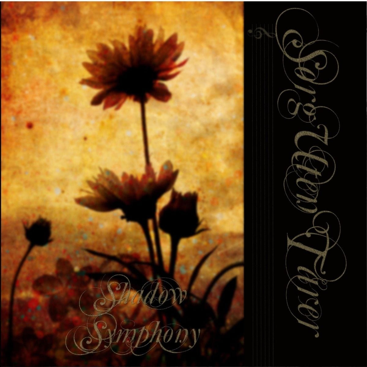 Shadow Symphony (What Dreams May Come) [Remastered (Clean Vocal Version)] cover