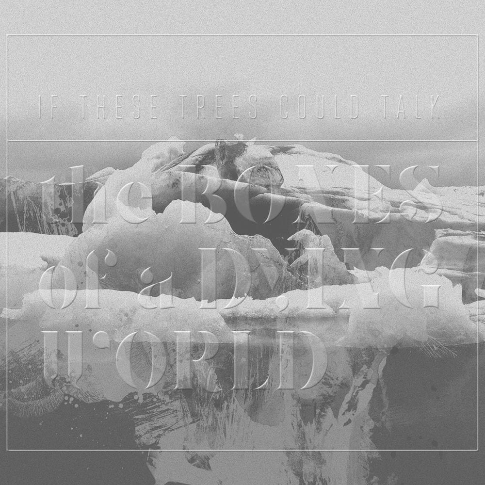 The Bones of a Dying World cover