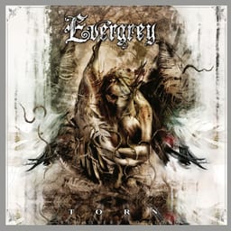 Torn album cover