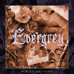 A Burning Flame album cover