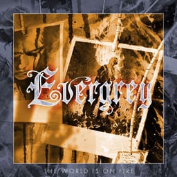 The World Is On Fire album cover