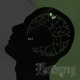 Say album cover
