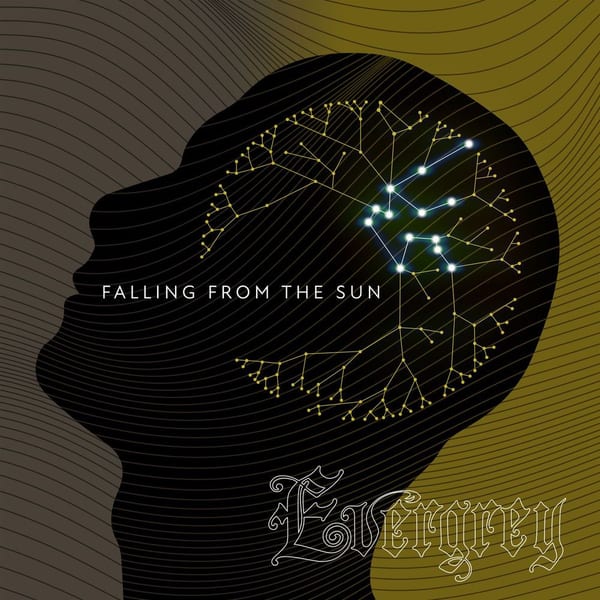 Falling From The Sun album cover