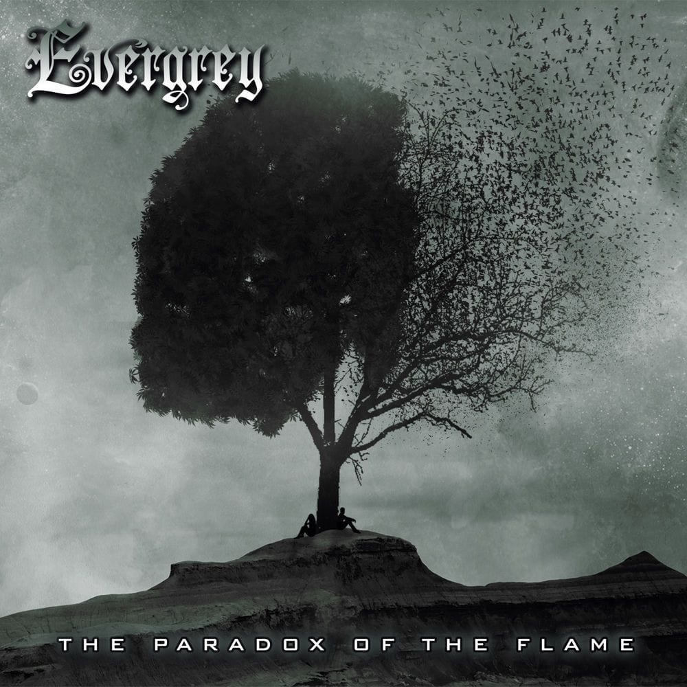 The Paradox of the Flame cover