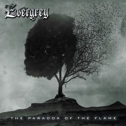 The Paradox of the Flame album cover