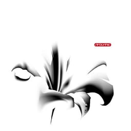 Lilies album cover