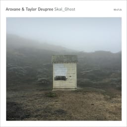 Skal_Ghost (feat. Arovane & Taylor Deupree) album cover