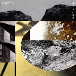 Miniaturen album cover