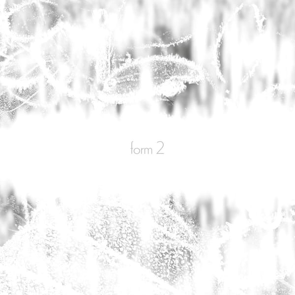 Form 2 album cover