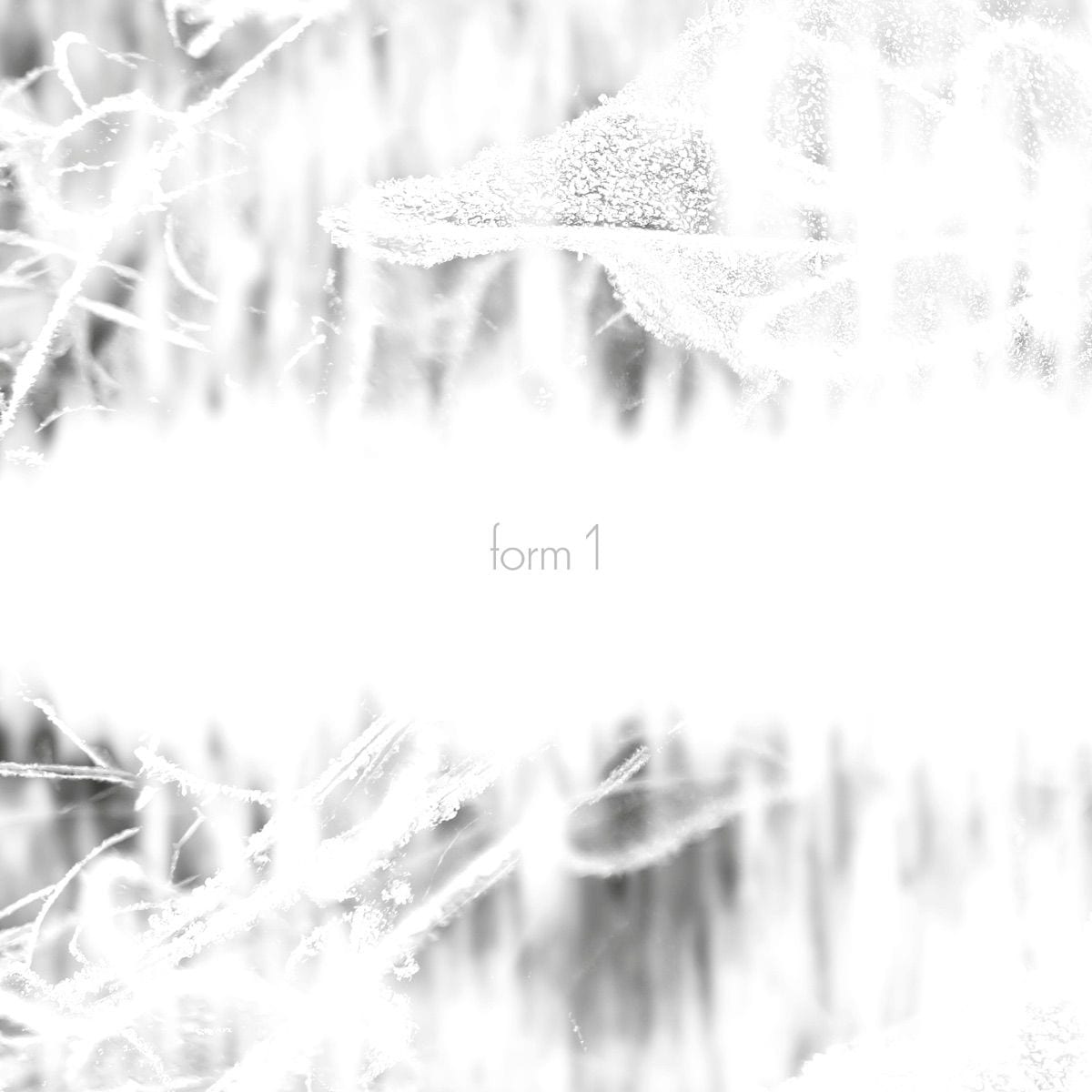 Form 1 cover