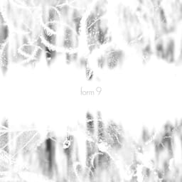 Form 9 album cover